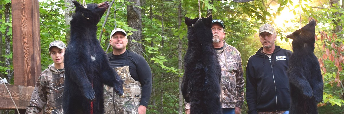 Bear Hunting at Foggy Mountain