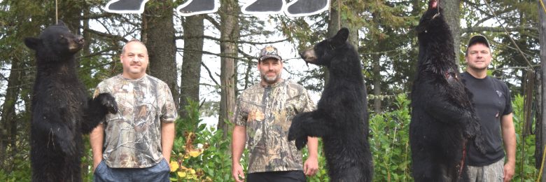 Maine black bear hunt at Foggy Mountain Guide Service