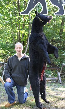 trophy black bear hunt at Foggy Mountain Guide Service