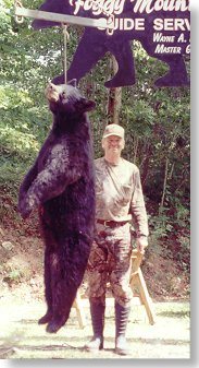 black bear hunting at Foggy Mountain Guide Service