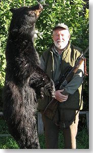 black bear at Foggy Mountain Guide Service