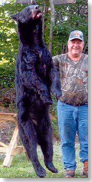 black bear hunting at Foggy Mountain Guide Service