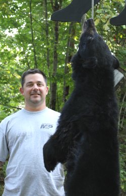 trophy black bear hunt at Foggy Mountain Guide Service trophy black bear hunt at Foggy Mountain Guide Service
