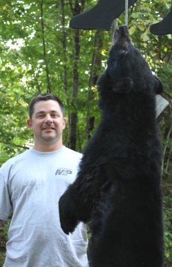 trophy black bear hunt at Foggy Mountain Guide Service