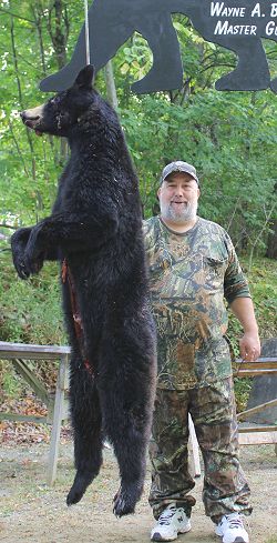 trophy black bear hunt at Foggy Mountain Guide Service trophy black bear hunt at Foggy Mountain Guide Service