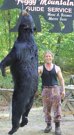 trophy black bear hunt at Foggy Mountain Guide Service trophy black bear hunt at Foggy Mountain Guide Service