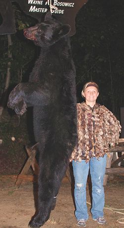 trophy black bear hunt at Foggy Mountain Guide Service trophy black bear hunt at Foggy Mountain Guide Service