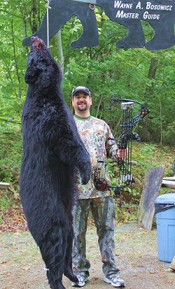trophy black bear hunt at Foggy Mountain trophy black bear hunt at Foggy Mountain