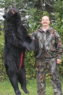 Maine Bear Hunting Trophy