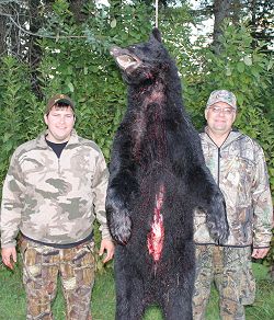 trophy black bear hunt at Foggy Mountain trophy black bear hunt at Foggy Mountain