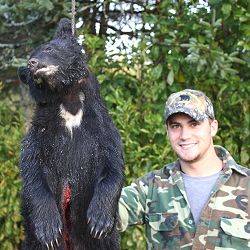 trophy bear hunt at Foggy Mountain Guide Service