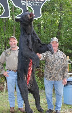 black bear hunting at Foggy Mountain