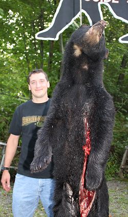 trophy black bear hunt at Foggy Mountain Guide Service