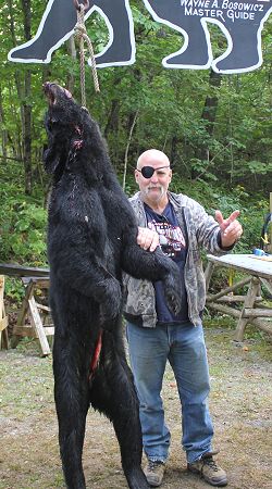 trophy black bear hunt at Foggy Mountain Guide Service