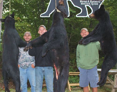 trophy black bear hunt at Foggy Mountain