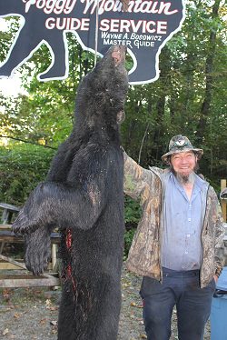 trophy black bear hunt at Foggy Mountain