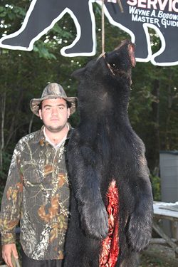 trophy black bear hunt at Foggy Mountain