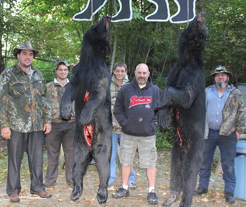 trophy black bear hunt at Foggy Mountain Guide Service