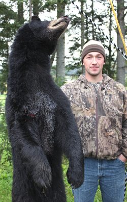 black bear hunt at Foggy Mountain