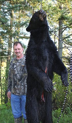 trophy black bear hunt at Foggy Mountain Guide Service