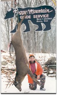 Whitetail buck at Foggy Mountain