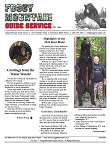 Bear hunting newsletter